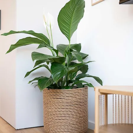 Uno - Nordic Boutique & Life Apartamento Bratislava